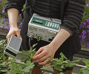 How exposure to irregular light affects plant circadian rhythms