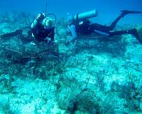 Coral reefs fall victim to overfishing, pollution, ocean warming