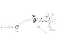 Nuclear puzzle may be clue to fifth force