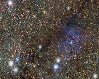 Lifting the veil on a dark galaxy