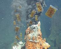 Extremophile bacteria could improve nuclear waste cleanups