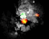 Unknown extreme star formation discovered
