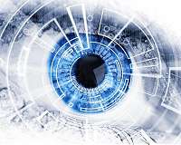 Common foundations of biological and artificial vision