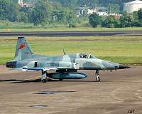 Pilot killed in Iran F-5 fighter jet crash