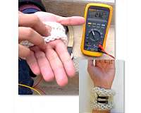 UMass Amherst materials chemists tap body heat to power 'smart garments'