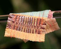 New fabric uses sun and wind to power devices