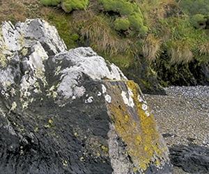 Measuring sea-level rise in the Falklands