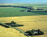 Sustainable development a huge failure in Canada: audit