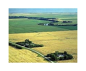 Chinese buy up Canada farms; is Beijing behind it?