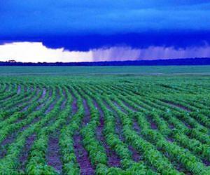 UEA research reveals how farmers could mitigate nitrous oxide emissions