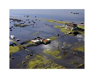 Australian floods to bring bumper farming year