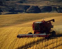 Walker's World: France's food fight