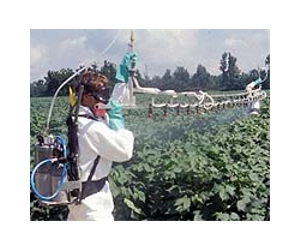 EU stops short of insecticide ban
