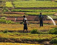 Plants' future water use affects long-term drought estimates