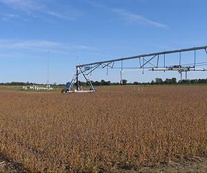 Scientists Develop New Carbon Accounting Method to Reduce Farmers' Use of Nitrogen Fertilizer