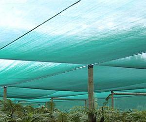 Shadehouses with photoselective nets featured in study of growing conditions