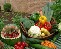 Governor's Garden Highlights Urban Gardening Options