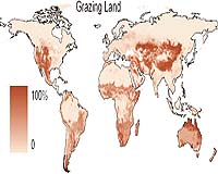 New Maps Reveal True Extent Of Human Footprint On Earth