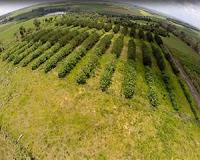 Bringing nitrogen out to pasture