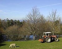 Rural Populations Recquire Different Strategies To Rein In Epidemics