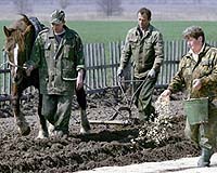 A Radioactive Wildlife Reserve In Chernobyls No-Go Zone