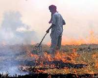 Leaders appeal for 'urgent action' on environment