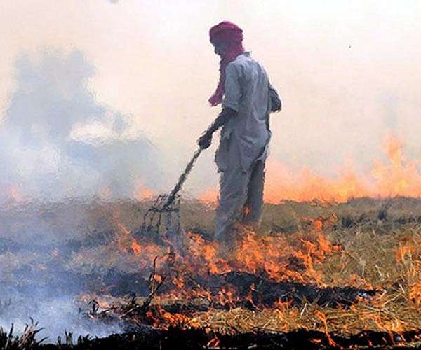 Environment threats 'greatest challenge to human rights': UN
