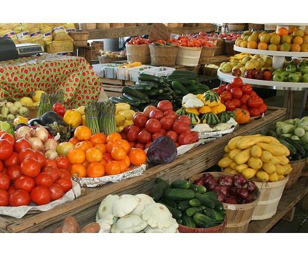 Iconic French chef stakes reputation on vegan menu