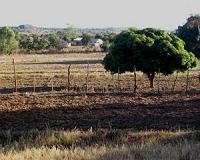 Zimbabwe faces worst malnutrition in 15 years: UNICEF