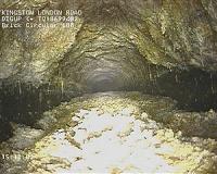 'Monster fatberg' goes on public display in London