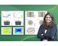 PPPL physicist discovers that some plasma instabilities can extinguish themselves