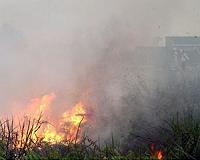 Indonesian team hunts firebugs in haze-hit province