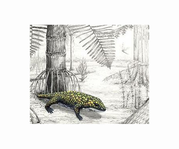Extinct group of amphibians used a rapid-fire tongue to catch prey
