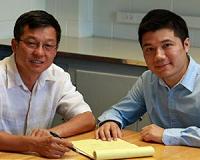 University of Utah engineers unlock potential for faster computing