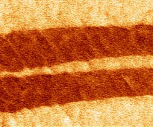 ORNL microscopy yields first proof of ferroelectricity in simplest amino acid
