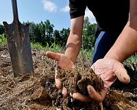 Study finds accelerated soil carbon loss, increasing the rate of climate change