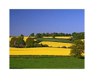 Expert panel calls for transforming US agriculture