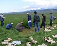 Humped-back model of plant diversity withstands controversy
