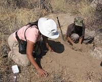 New research sharpens understanding of poison-arrow hunting in Africa