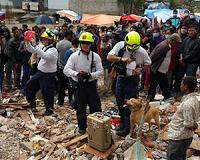 Nepal appoints quake reconstruction chief