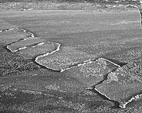 Finger Rafting - Ice Sheets That Mesh When They Meet