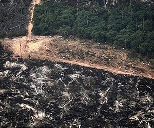 Drought, wildfires put Brazil under environmental emergency