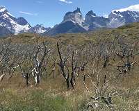 Chile drought causing water shortage amidst virus crisis