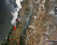 More than 40 detained in Chile for spreading forest fires