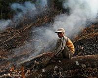 Changing times put I.Coast's rubber industry under pressure