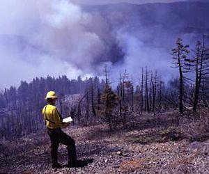 Washington's forests will lose stored carbon as area burned by wildfire increases