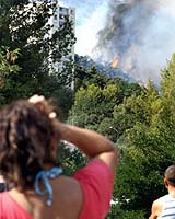 Dutch Pilot Dies Fighting French Forest Fires As Plane Crashes