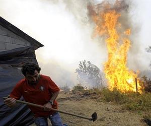 Portugal fires rage on, protected forests destroyed