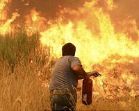 Europe sizzles in heatwave as wildfire hits Portugal