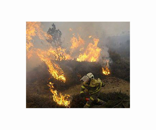 Winds complicate wildfire battle in Spain